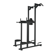 Chin/Dip/Leg raise WBX 2800